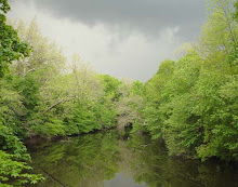 Summer Mill Pond