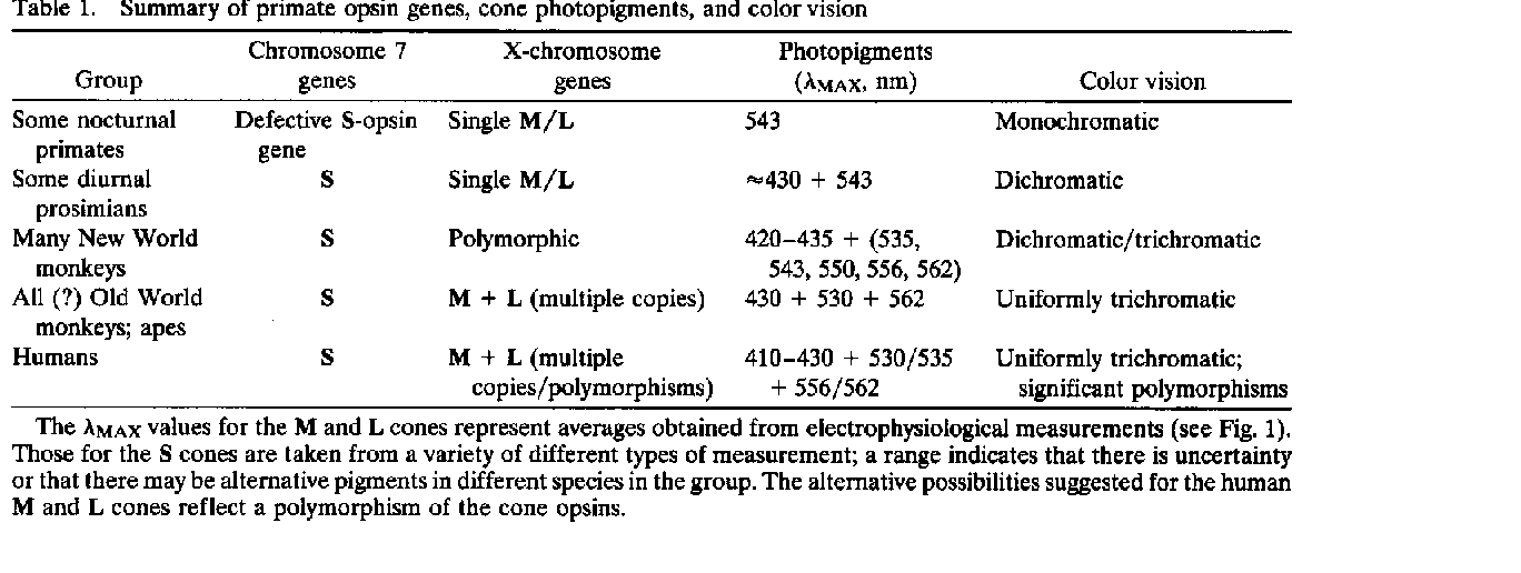 [table1.GIF]
