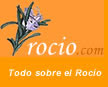 Rocio.com