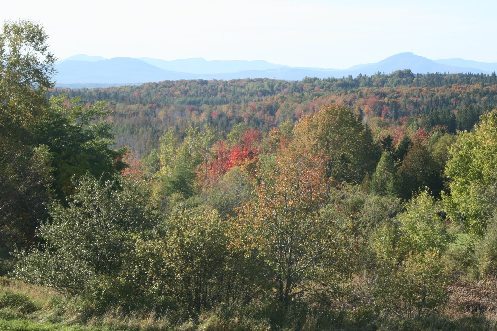 [Vermont+Foliage+017.jpg]