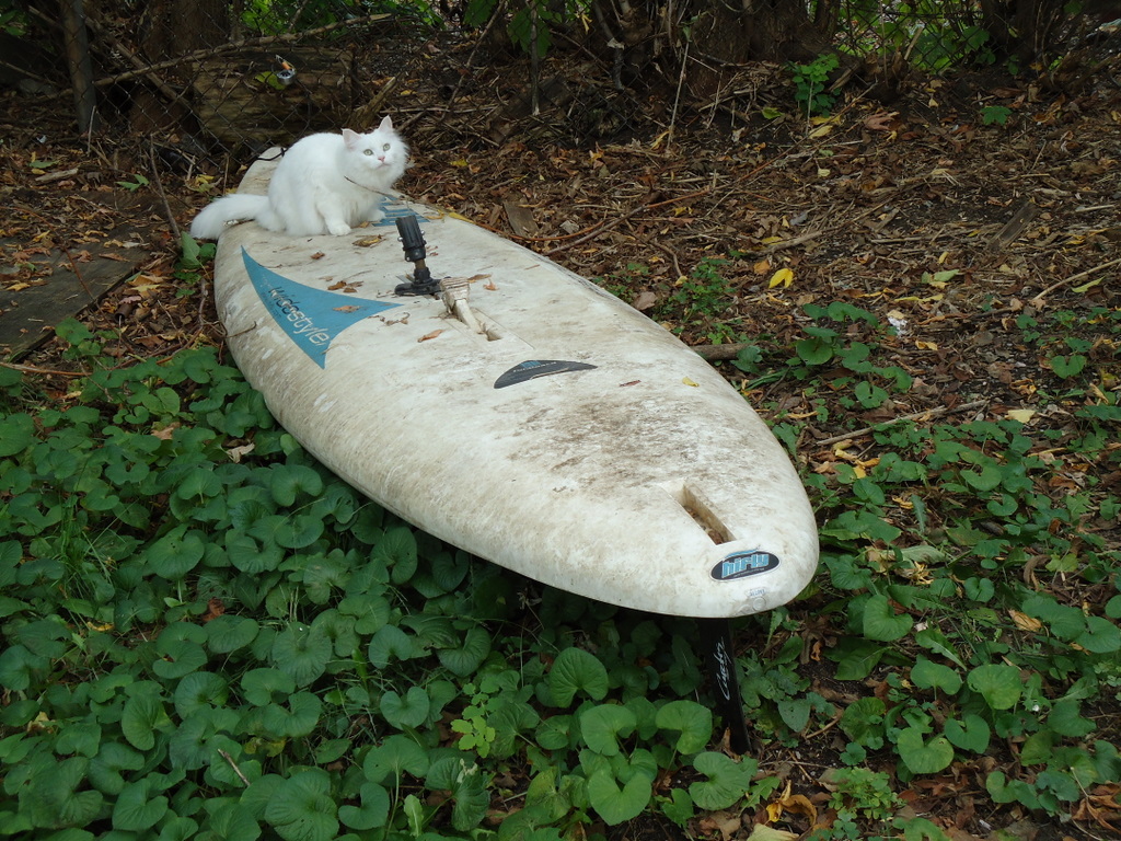 Bread Story Oktober 2010