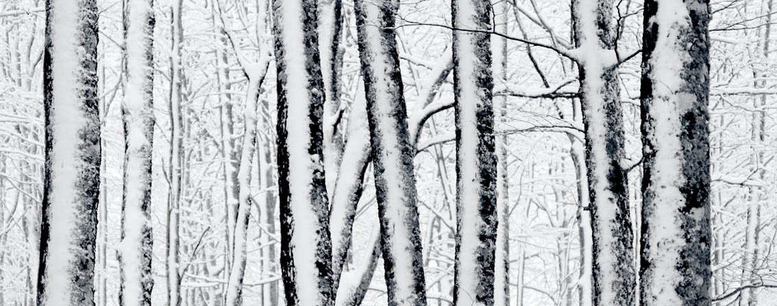 IMAGINADOR: Me gusta cuando las chimeneas echan humo