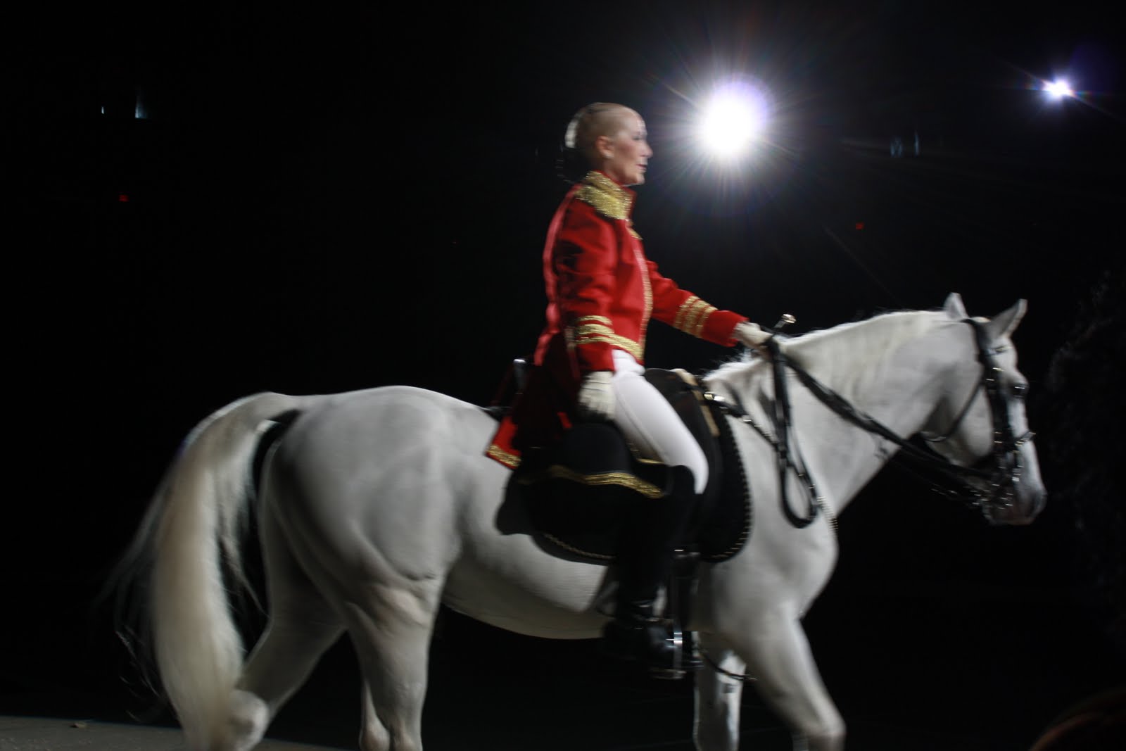 Catawhat? Lipizzaner Stallions! (aka Big White Horses that dance)