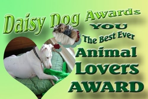 [daisy-dog-awards-1.jpg]