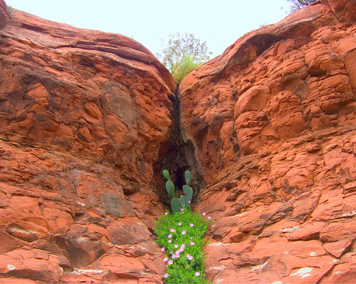 [sedona_2.jpg]