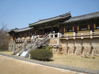 Ausflug: Kirschblüte in Gyeongju