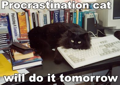 [procat.jpg]