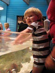 Will at the touch tank