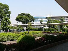 中山競馬場南門