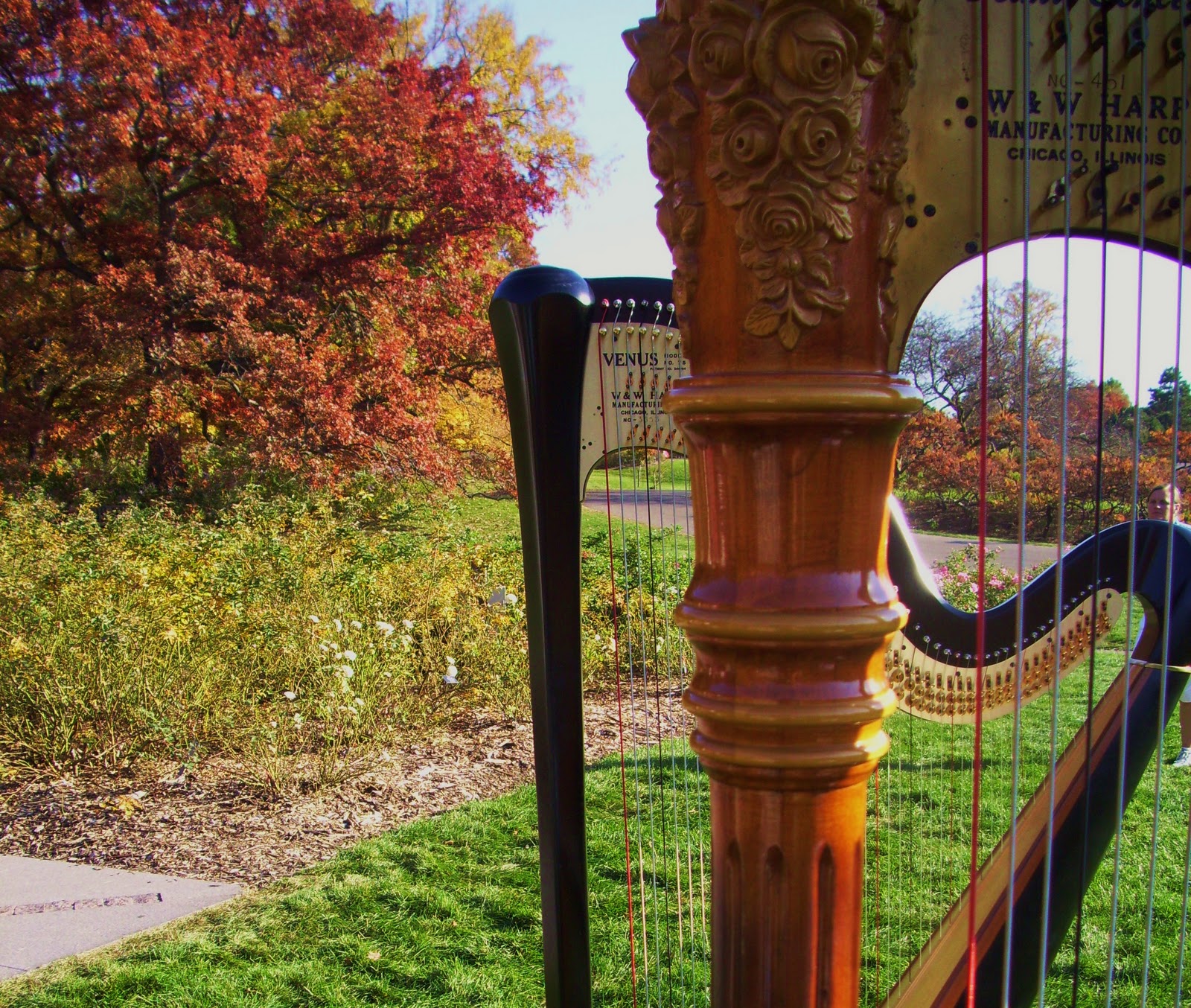 Minneapolis Wedding Harpist
