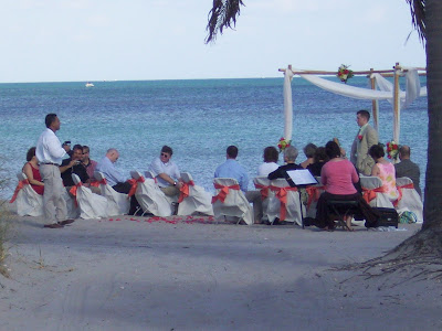 Beach Wedding Music on the Harp