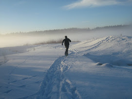 Today's Walk In the Snow