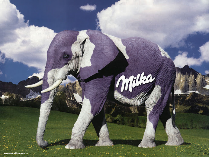 Elefantul Milka :cel care pazeste granitele pajistilor alpine