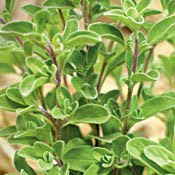 Herb image