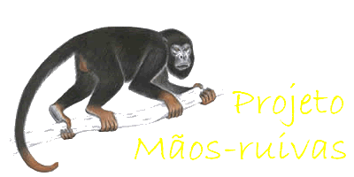 Mãos Ruivas
