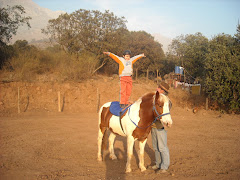 Caballos Terapeútas