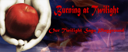 Burning at Twilight