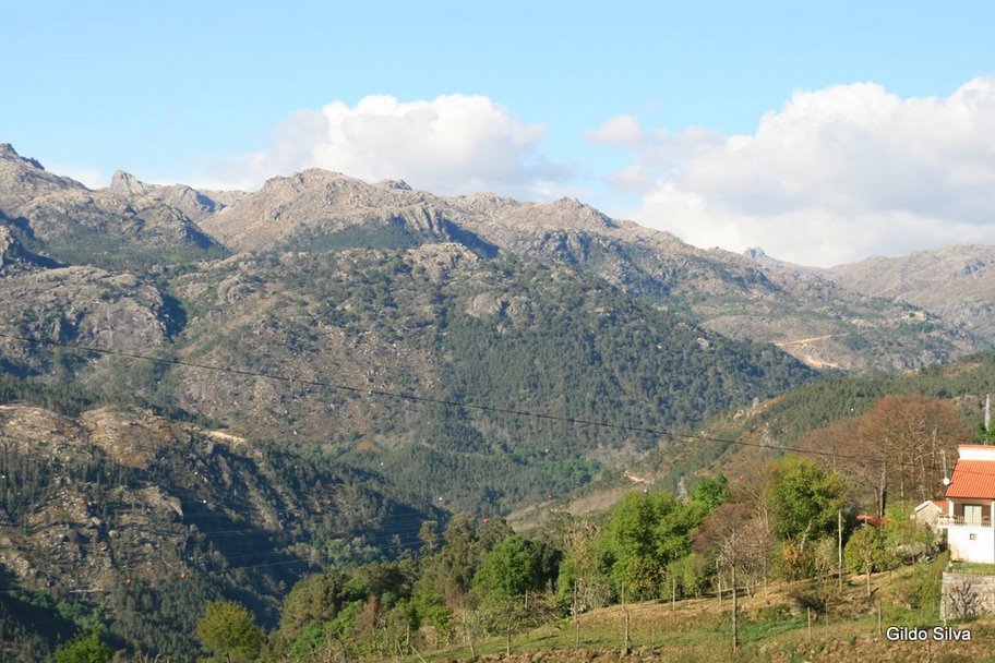[IMG_6636.JPG]