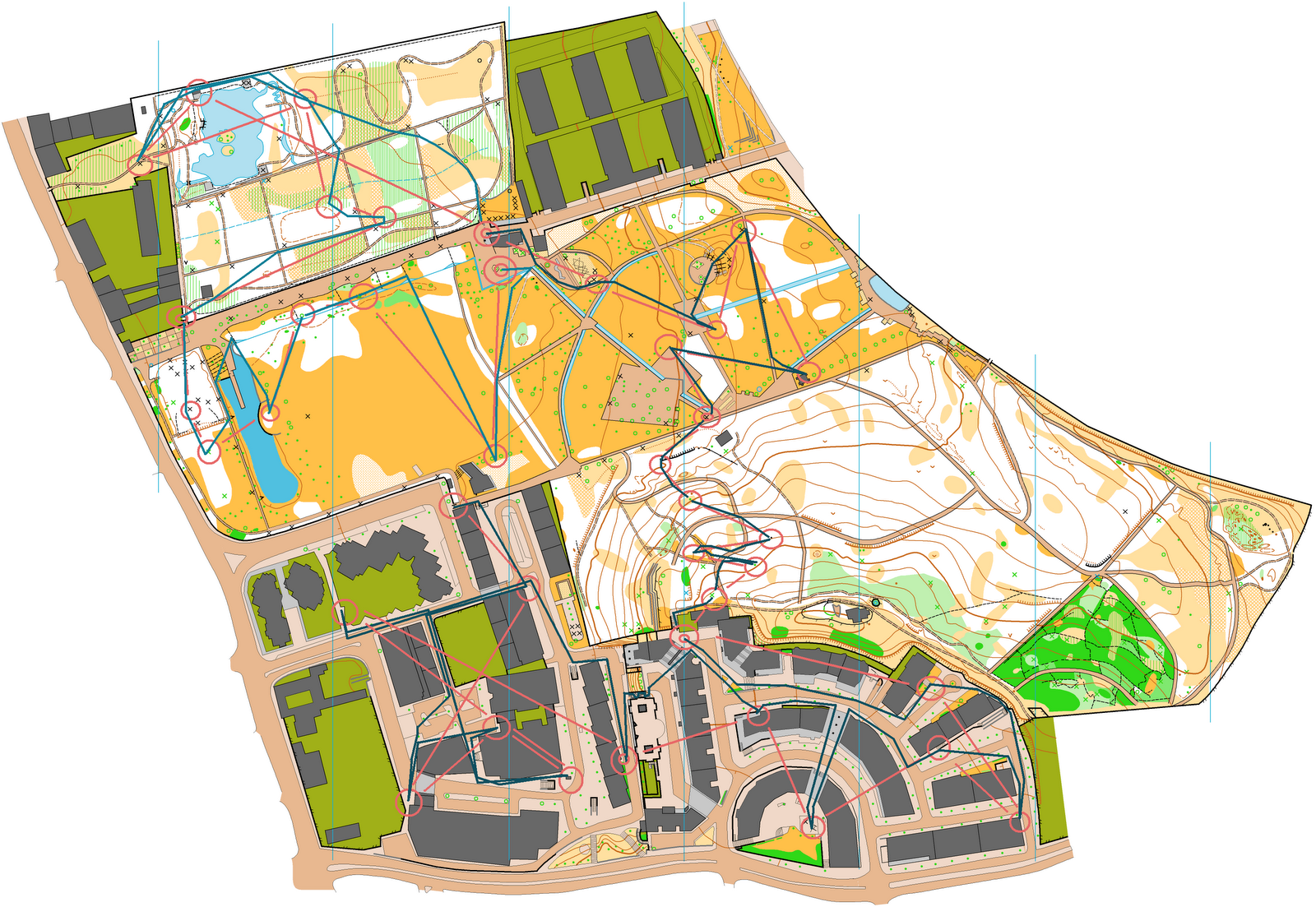 [QuintadasConchas1.GIF]