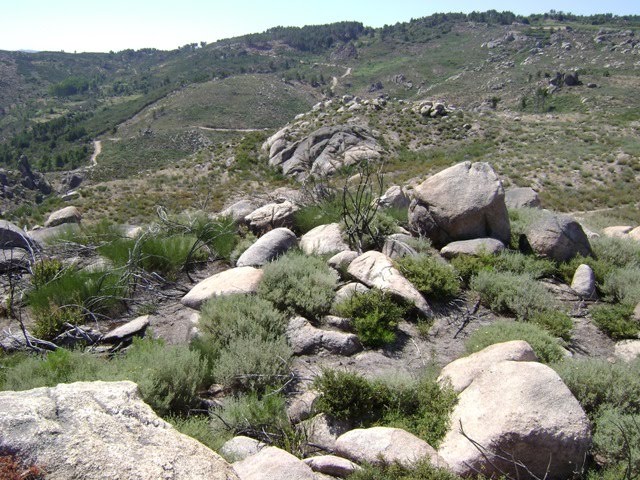 [DSC02532.JPG]