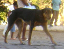 Minha foto