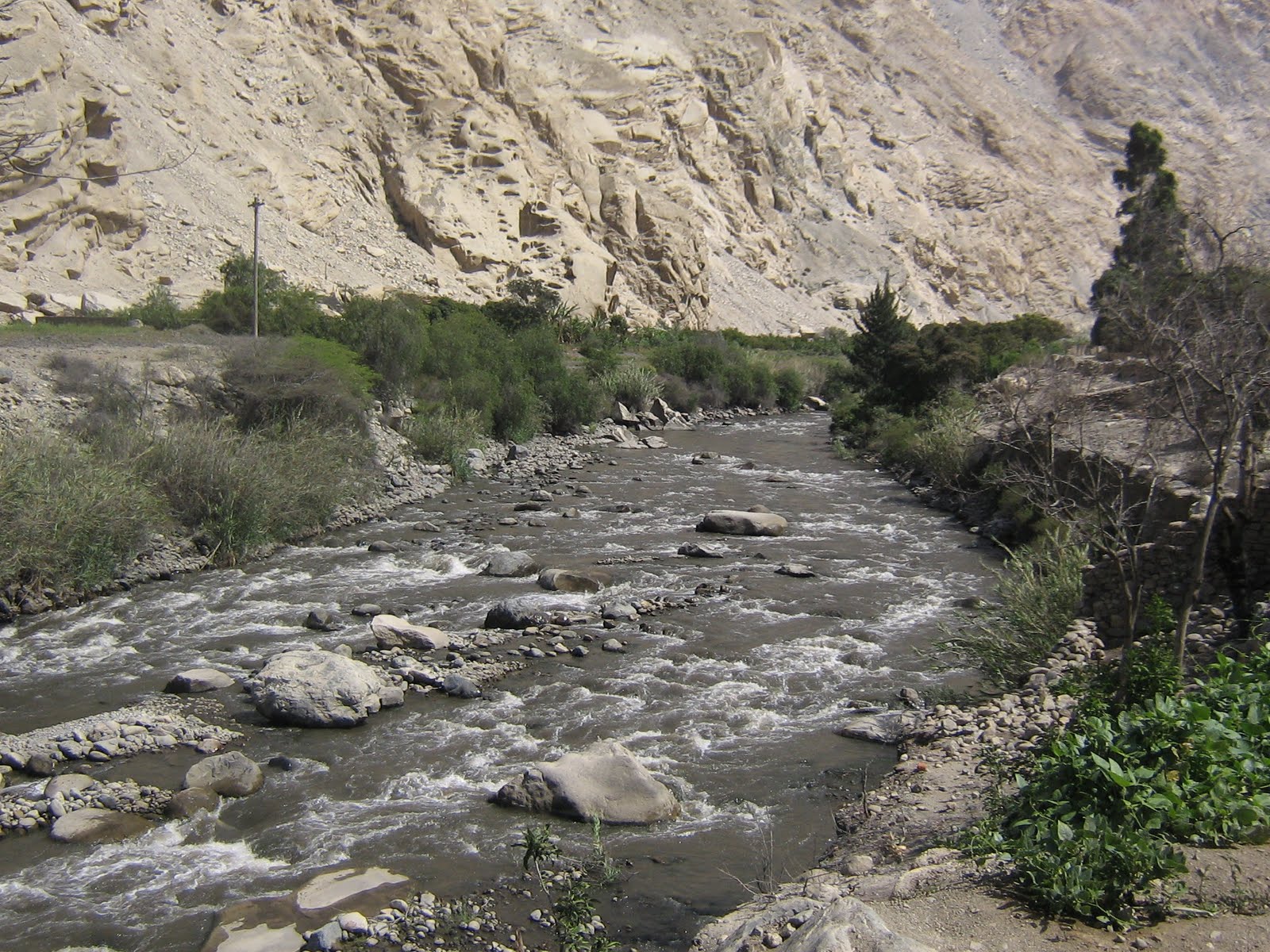 Opiniones de rio fortaleza