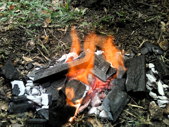[DSC04061.JPG]