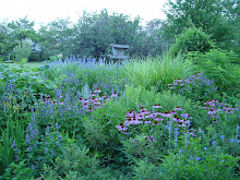 Western Kansas garden