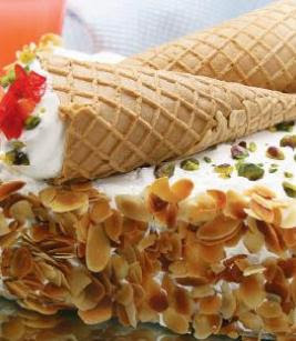 ����� ������ ����� �������� ��������