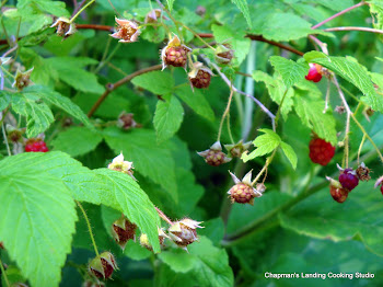 Wild raspberries