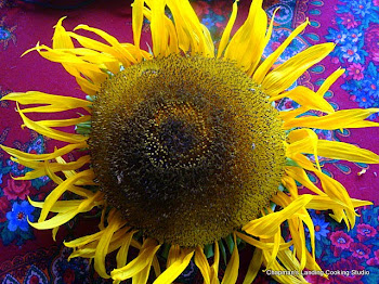 Russian Mammoth Sunflower