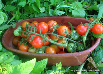 Abundant cherry tomatoes