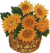 basket of sunflowers