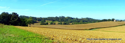 Typical Chalosse landscape
