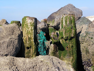 Details of the stones that border the Contis stream
