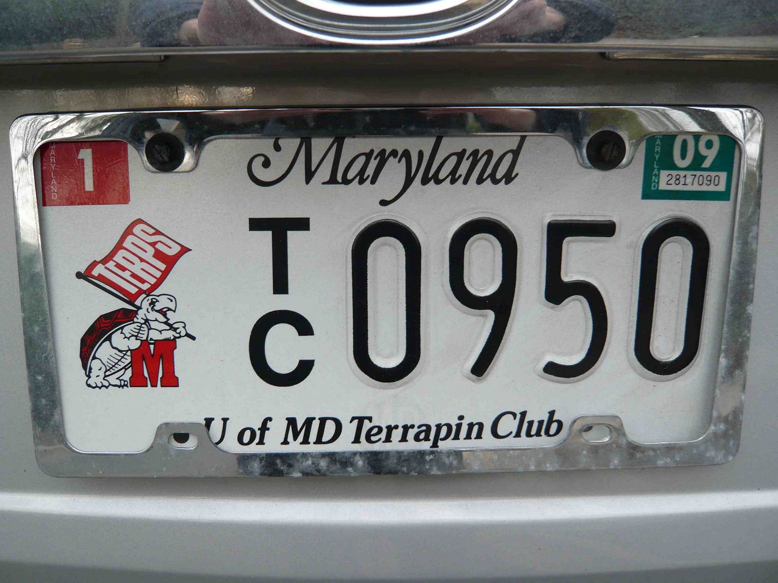 [Maryland+Terps+tortue.jpg]