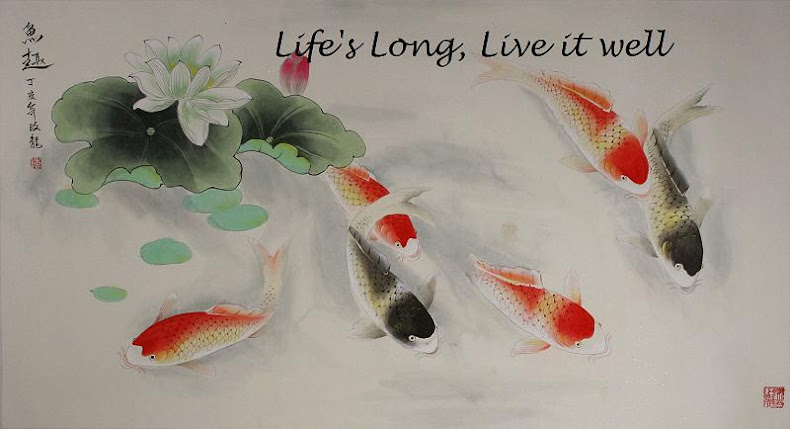 Life's Long, Live it Well