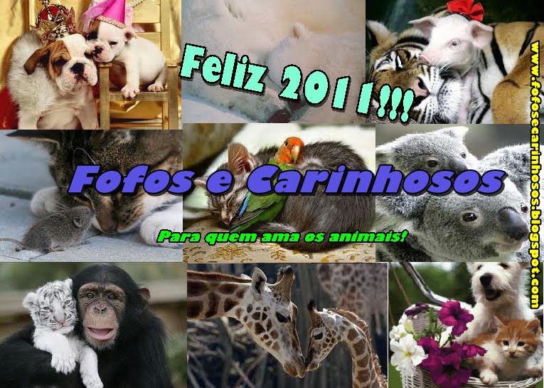 Fofos e Carinhosos