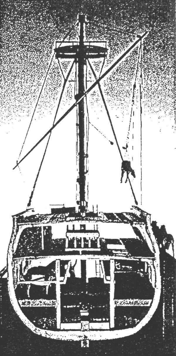 Anne Arundel's Horses Transporting Horses