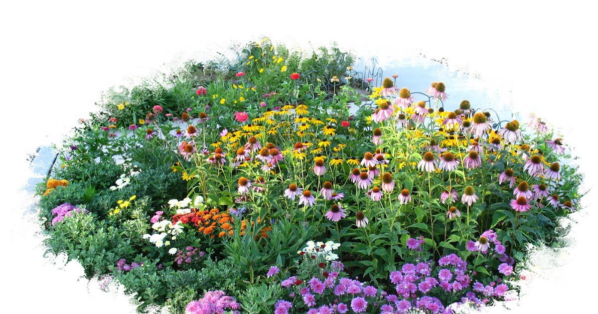 Bev's Colorado Garden Corner Curb Appeal