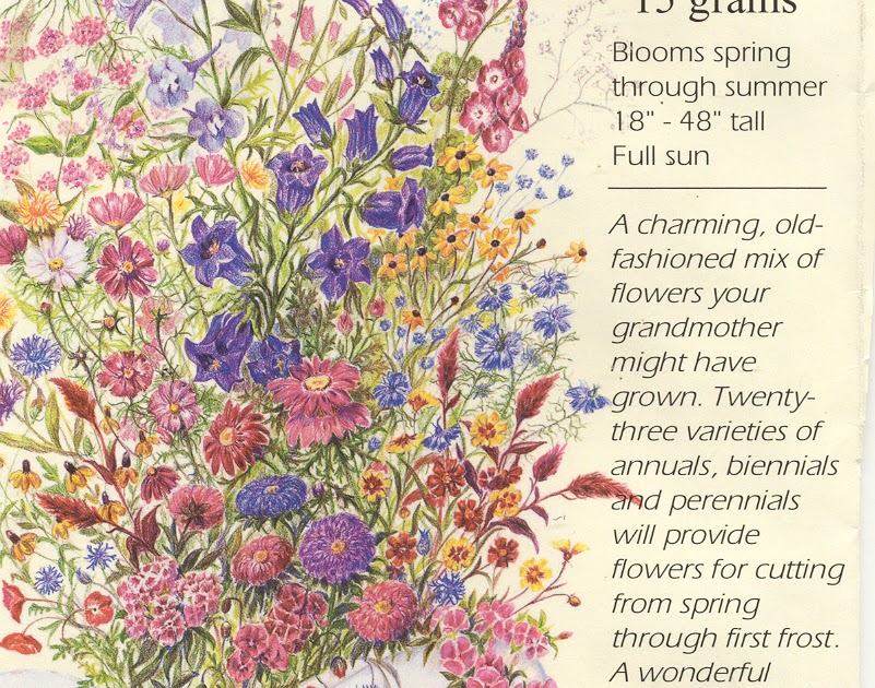 Bev's Colorado Garden Grandmother's Cut Flower Garden