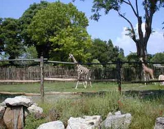 [zoo.jpg]