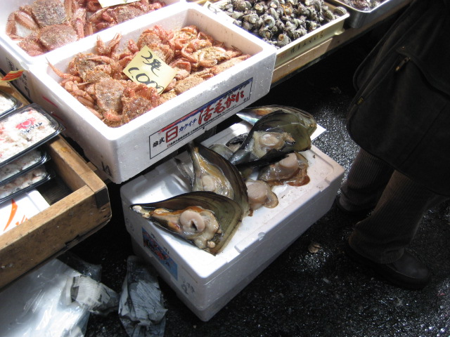 [IMG_0009.JPG]