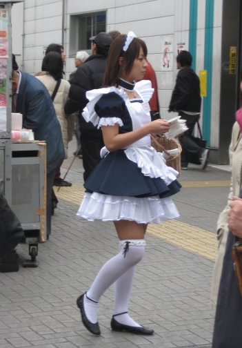 [IMG_0069.JPG]