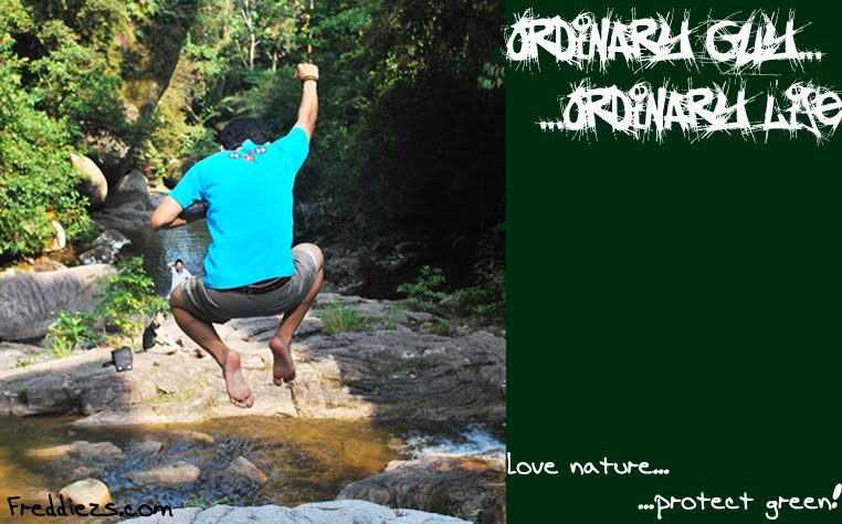 Ordinary Guy... Ordinary Life...