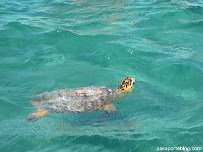 CANCUN RESERVA BIOSFERA SIAN KA AN cancun reserva biosfera sian ka an: