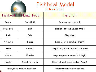 physioex 8 0 exercise 4 answers Physioex 80 for human physiology: lab simulations physioex ™ 80 for human an updated and expanded endocrine system physiology exercise explores the. physioex 8 0 exercise 4 answers Physioex 80 for human physiology: lab simulations physioex ™ 80 for human an updated and expanded endocrine system physiology exercise explores the.