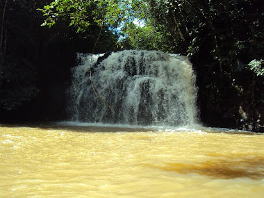 Cachoeira do Jacaré-GO 064