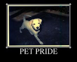 Bozo invites all pets!