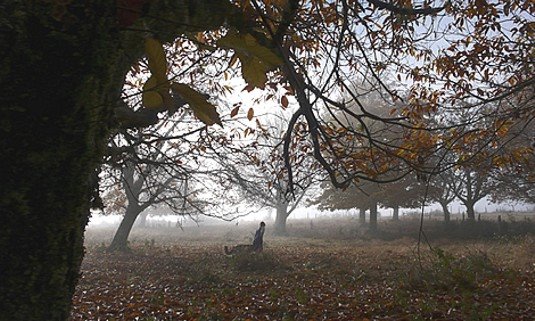 EL CIELO, LA TIERRA Y LA LLUVIA